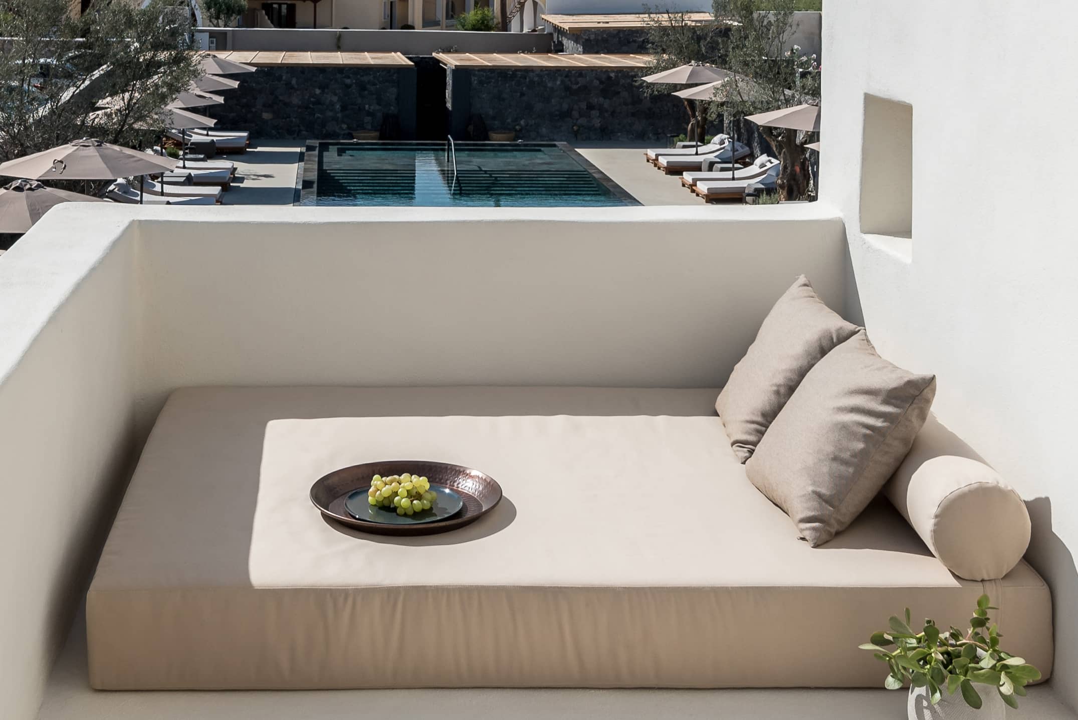 Saga Suite